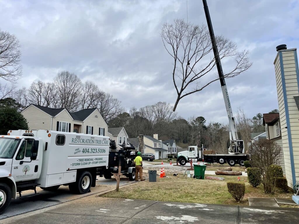 Tree removal service in Smyrna, GA: a crane lifts a large tree section over a home while the Restoration Tree Care crew works below