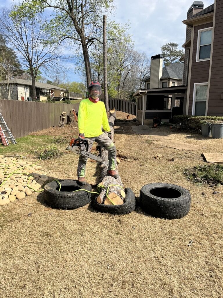 Tree removal service crew member cutting a felled trunk into sections in a backyard