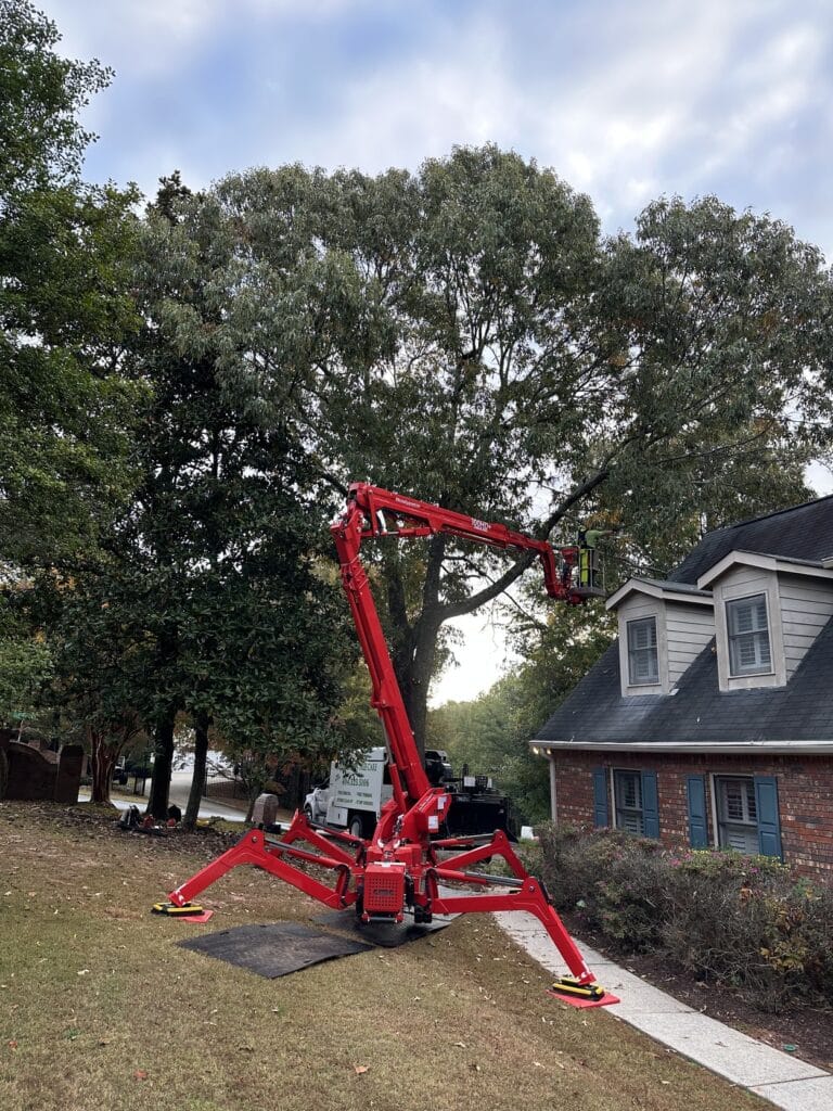 Tree removal service with a spider lift reaching a large oak beside a brick home